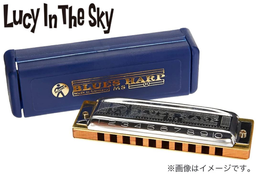 HONER ( ホーナー ) BLUES HARP X 532/20 MSX 10 ホールズ