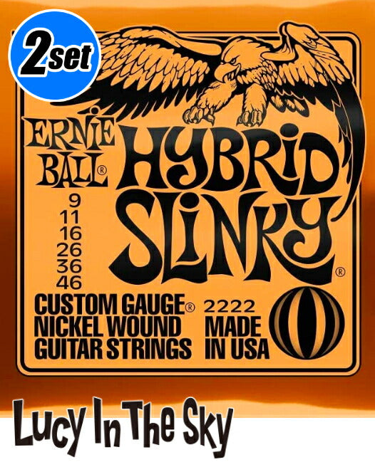 ERNIEBALL(アーニーボール)エレキ弦HybridSlinky#2222［.009-.046］2set